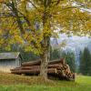 19. Szene in Südtirol